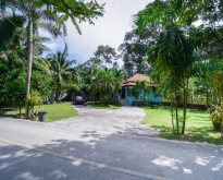 Land for Sale with 2 House in Lamai