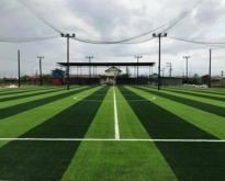 ขายสนามฟุตบอลมาตรฐานหญ้าเทียม 3 สนาม 5.5 ไร่