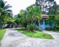 House with Land For Sale 764sq.m. in Lamai
