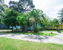 Land for Sale with 2 house in Lamai area