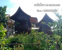 T00072ให้เช่าบ้านทรงไทย สันป่าตอง