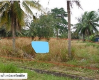 ขายที่ดิน : โครงการ บ้านเนินน้ำ (ชลบุรี)