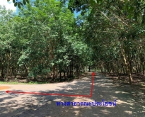 ขาย ที่ดิน หนองใหญ่ สวนปาล์ม สวนยาง ชลบุรี ถนน 344