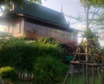 ขายบ้านเรือนไทย พร้อมที่ดินถมสูงแล้วเป็นสวน 