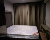 เช่าคอนโด ดิ ยูนีค 10 [The Unique 10] 1 Bed 