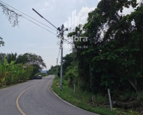 L-LD-06#Land for sale, 8800  Sqw.Amphawa. 