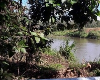 ขายที่ดินติดแม่น้ำแควน้อย กาญจนบุรี ติดถนนลาดยาง