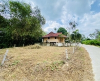 Plot Land For Sale in Lipanoi Koh Samui