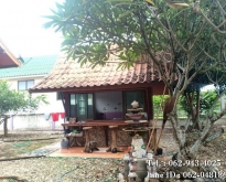T01137 ให้เช่าบ้านเรือนไทย หมู่บ้านฟ้างามน้ำใส