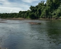 ขายที่ดินติดแม่น้ำแควใหญ่  กาญจนบุรี 