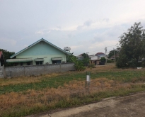ขายที่ดิน ในหมู่บ้านสินสิริ บางบัวทอง นนทบุรี