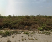 ขายที่ดิน พื้นที่สีชมพู ถมหมดแล้ว  แปลงใหญ่ติดถนนพระราม2 5.5 ไร่ 