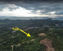 Samui hill resort land for sale ___ buy this plot of land to buil