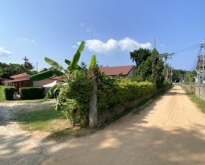 Vacant land for rent, area 370 sq m, with 8 rental houses.