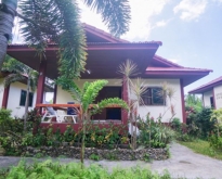 House For Rent 1bed 1bath Near Maenam Beach Koh Samui Suratthani